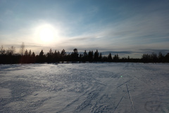 Sammalvaara