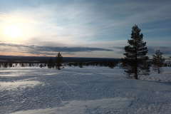 Pallas-Yllästunturi National Park