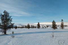 Pyhäkero & Harravaara