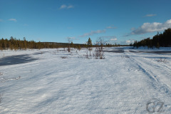 Swamp Skiing