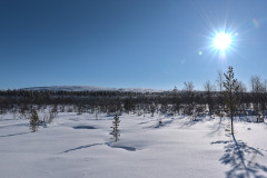 Korsajärvi