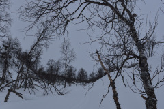 Rotkojärvi