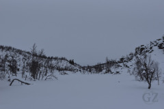 Rotkojärvi