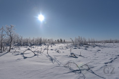 Pulju Winderness Area