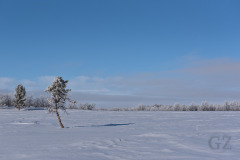 Kovavuopio