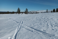 Tracks