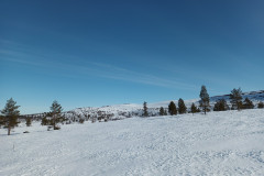 Pyhäkero