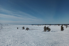 Rautujärvi