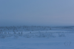 Varkaanvaaranjärvi