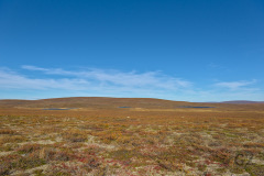 Olkovaara