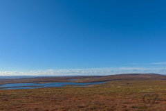 Olkojärvi