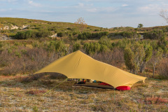 Tarp