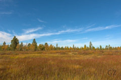 Pöyrisjärvi_wilderness area