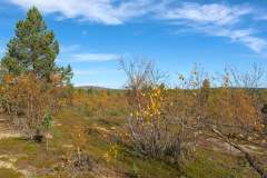 Pöyrisjärvi_wilderness area