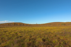 Pöyrisjärvi_wilderness area