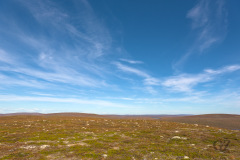 Pöyrisjärvi_wilderness area