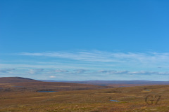 Ellanharju