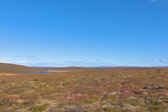 Pöyrisjärvi_wilderness area