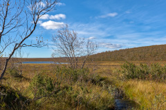 Pöyrisjärvi_wilderness area
