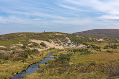 Suomajoki