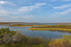 Poyrisjarven_eramaa-alue_0024Tundra lake