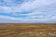 Tundra