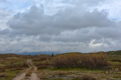 ATV trail