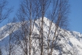 rus07_36