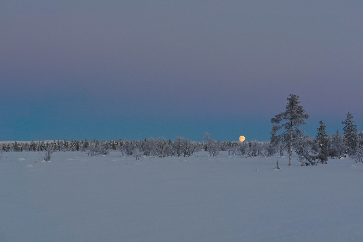 Canceled Skiing Trip to Pöyrisjärvi Wilderness Area – Gerald Zojer's Blog