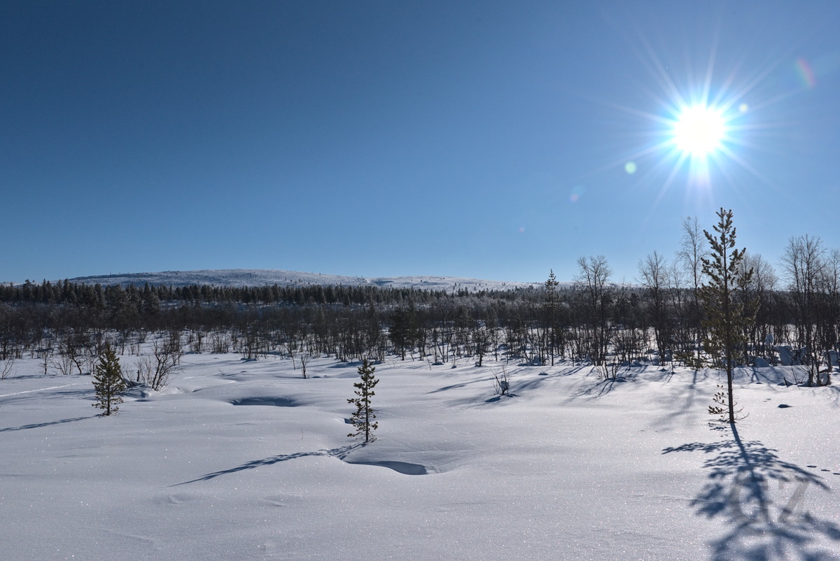 Snow covered landscape with fell and sun