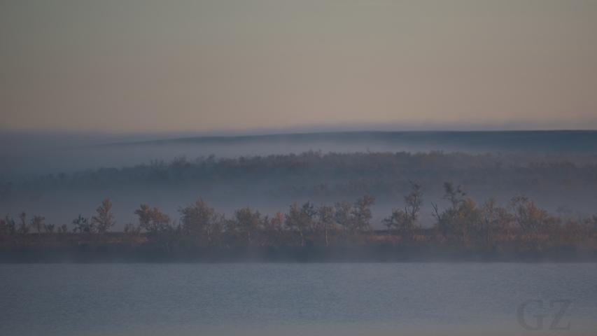 fog rising in autumn morning