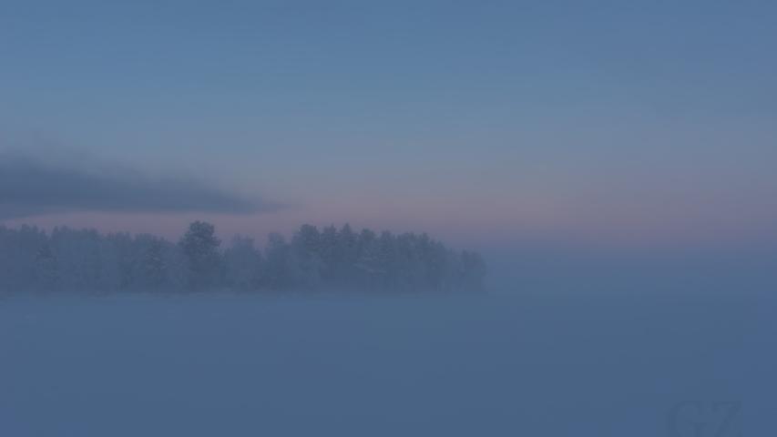 fog on lake with sparse tree line